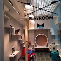 La Galerie Aristide Hotel Pour Felins Urbains